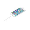Apple Lightning to USB Cable 1 Mtr - Image 2