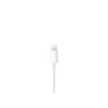 Apple EarPods Lightning - Image 4