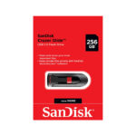 Sandisk Flash Drive 256GB